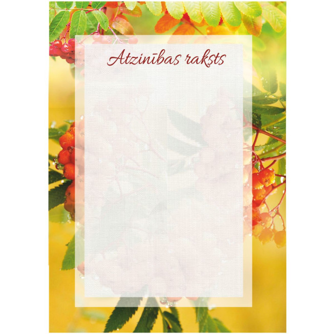 Atzinības raksts AR-08 Atzinības raksts AR-08