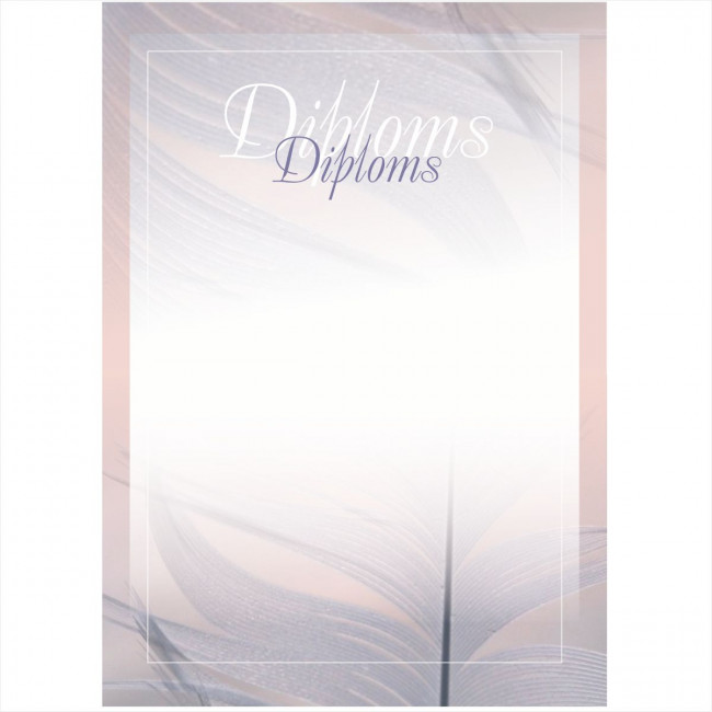 Diploms D-018