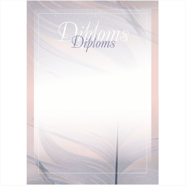 Diploms D-018 Diploms D-018
