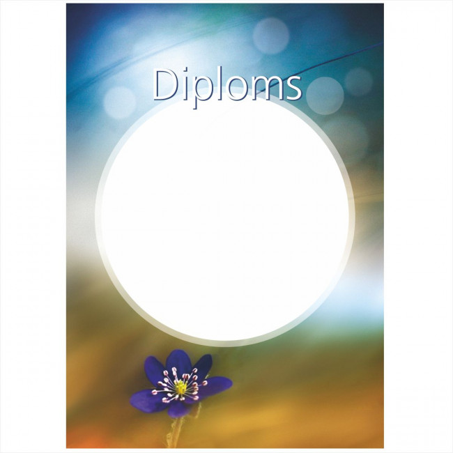 Diploms D-011