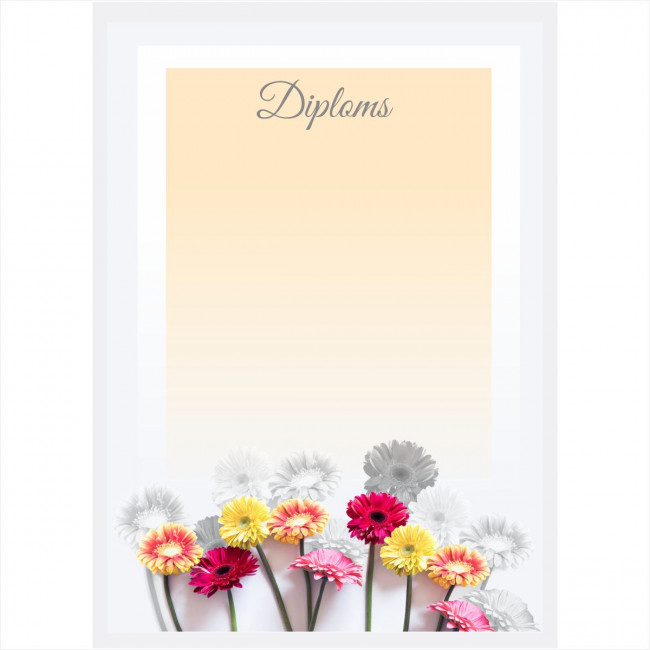 Diploms D-006