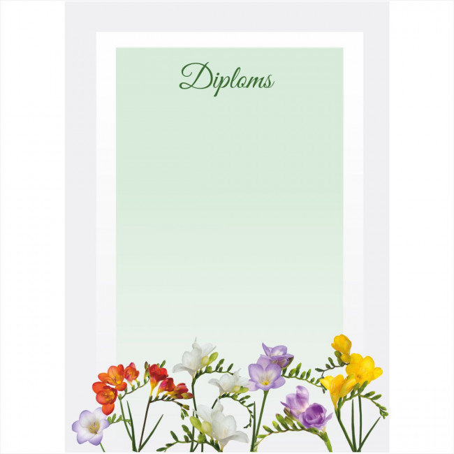 Diploms D-012
