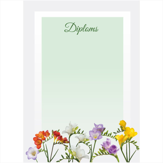 Diploms D-012 Diploms D-012