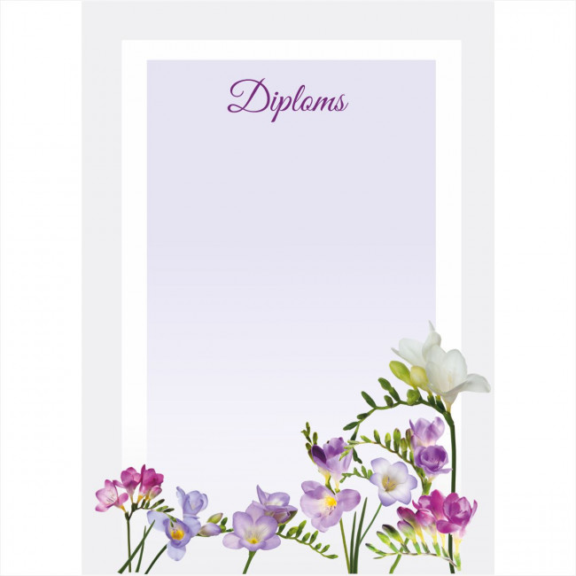 Diploms D-013