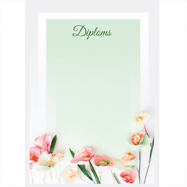 Diploms D-019