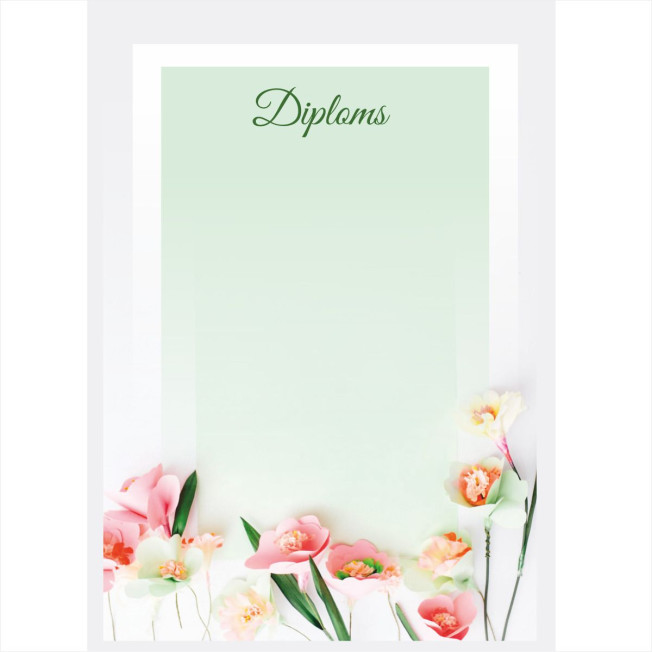 Diploms D-019 Diploms D-019