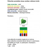 Skaņu analīzes plāksnītes Skaņu analīzes plāksnītes